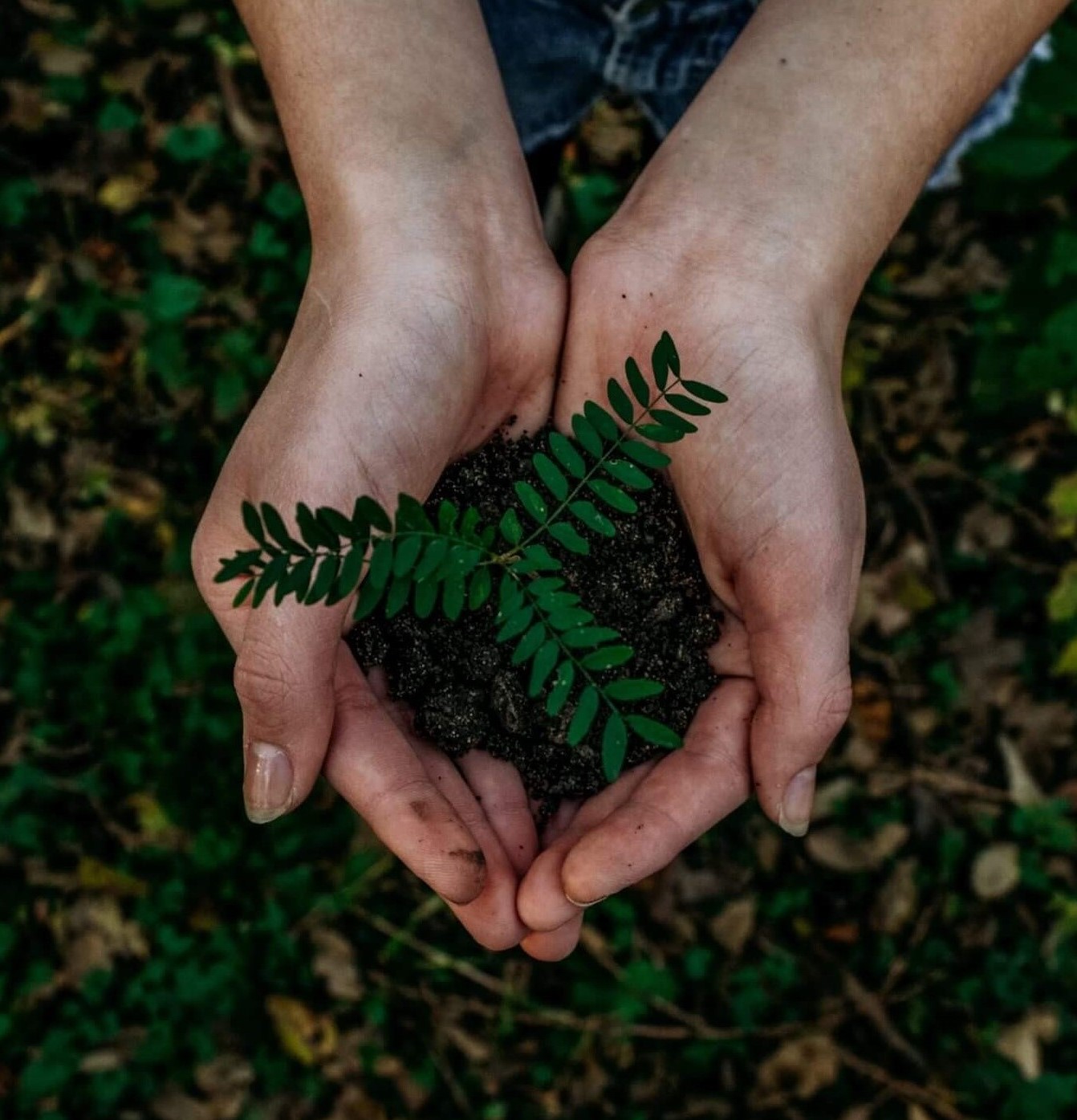 Sustainable Manufacturing